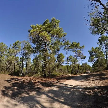 Avec Alcove, Face Mer, Parking Prive - Fr-1-323-421 생장드몽