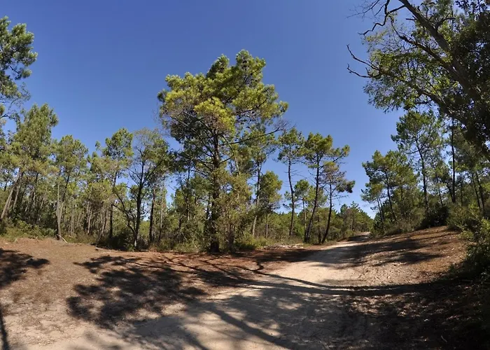 Avec Alcove, Face Mer, Parking Prive - Fr-1-323-421 생장드몽