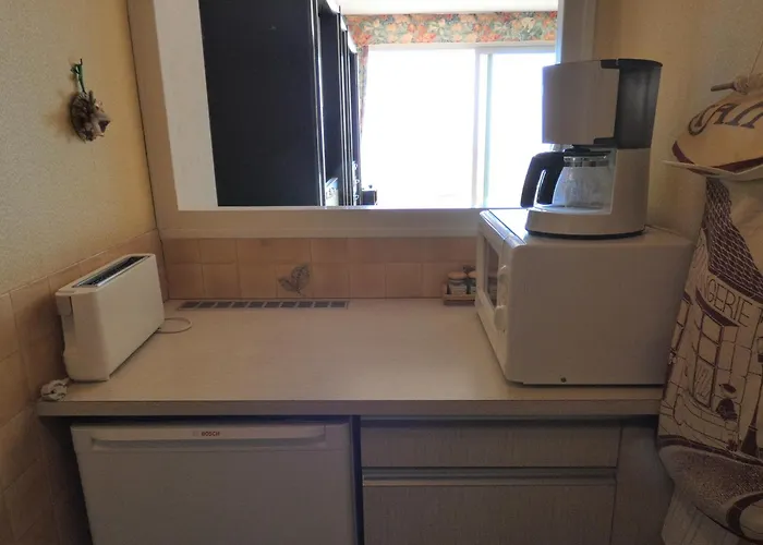 Apartamento Avec Alcôve, Face Mer, Parking Privé - Fr-1-323-421