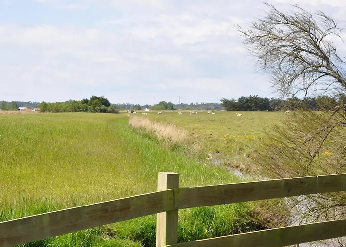 Avec Alcôve, Face Mer, Parking Privé - Fr-1-323-421 *